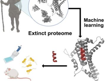 Proteome