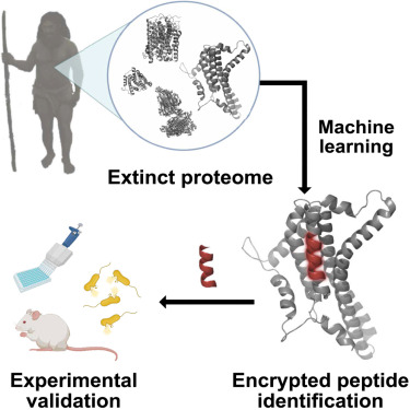Proteome